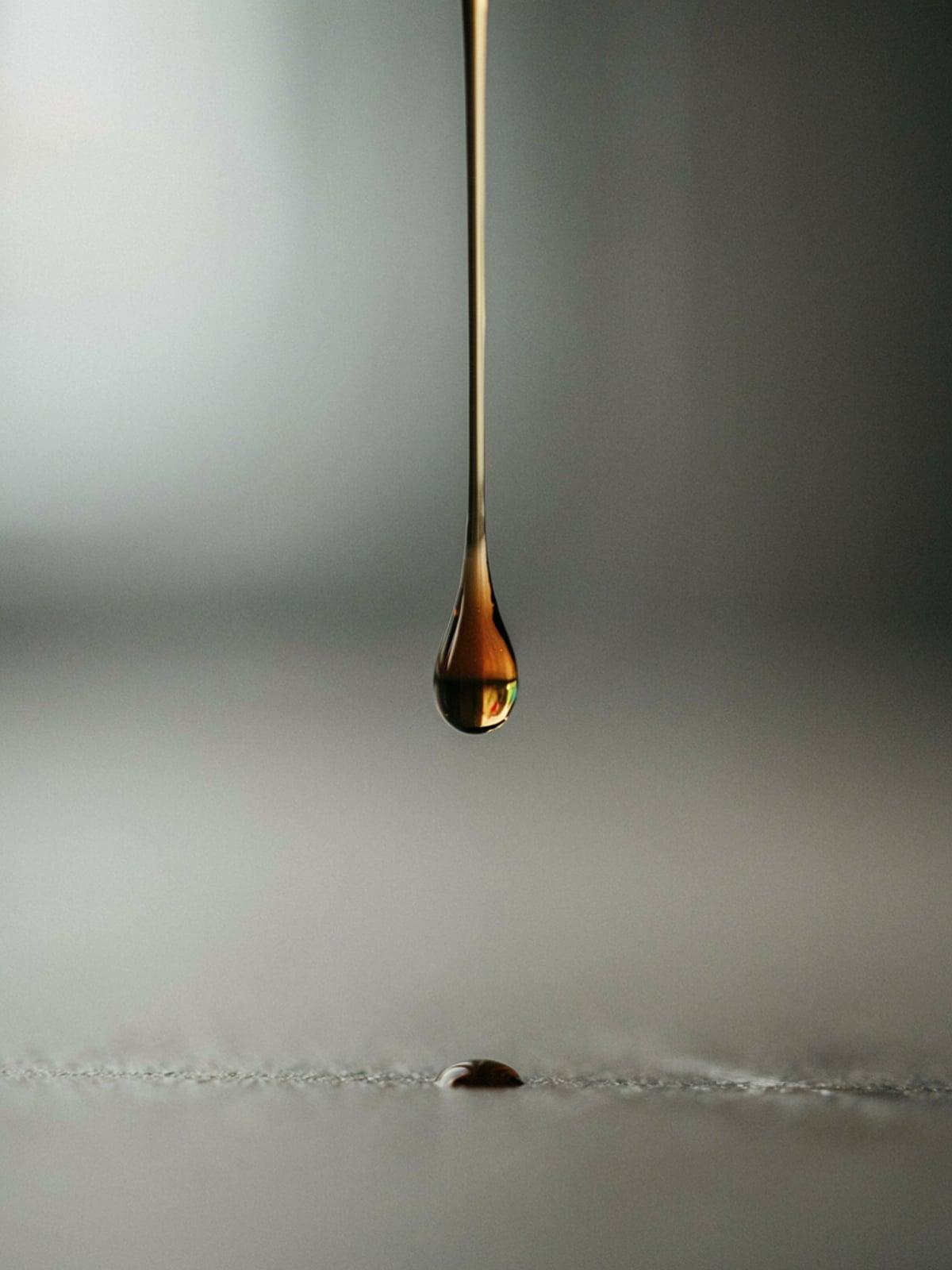 Proteína: semillas vs aceite – galería 3